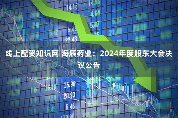 线上配资知识网 海辰药业：2024年度股东大会决议公告
