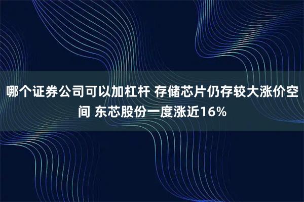 哪个证券公司可以加杠杆 存储芯片仍存较大涨价空间 东芯股份一度涨近16%